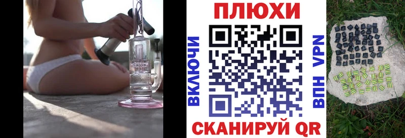 Купить закладки  Протвино  ГАШИШ Изолятор 