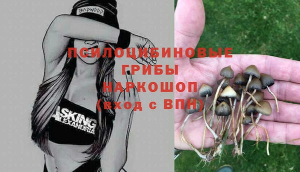 герыч Кулебаки