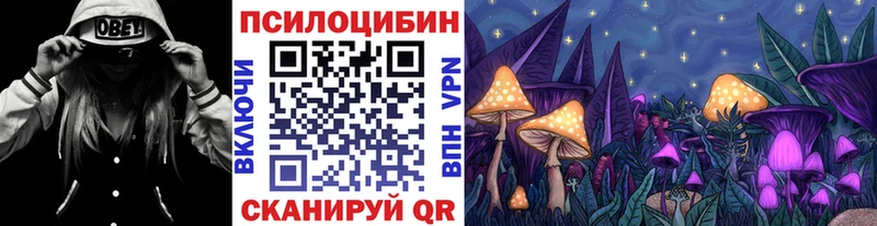 Псилоцибиновые грибы Psilocybe  Купить  Протвино 